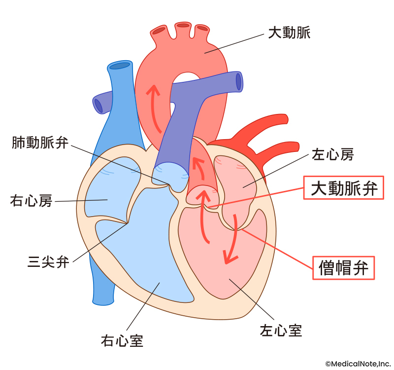 メディカルノート