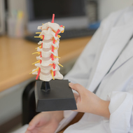 頚椎椎間板ヘルニアの手術、効果と危険はどのくらい？―合併症と手術後について