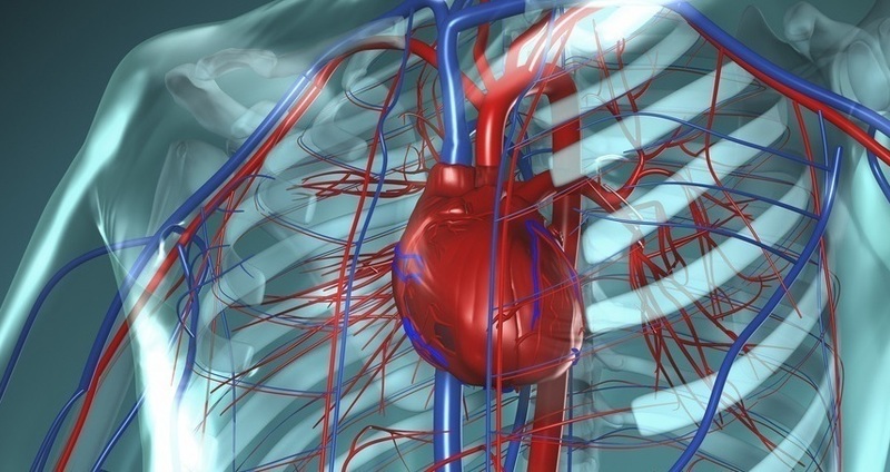 人工心臓はどのようなものか。置換型人工心臓と補助人工心臓