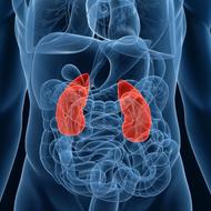 褐色細胞腫とは。副腎から発生する腫瘍