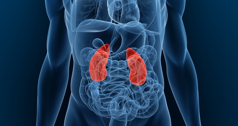 褐色細胞腫とは。副腎から発生する腫瘍
