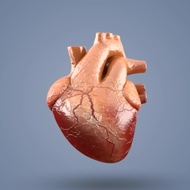 心筋梗塞や狭心症を未然に防ぐ-冠動脈のMDCT検査とは？