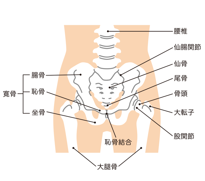強直性脊椎炎の症状との付き合い方 | メディカルノート