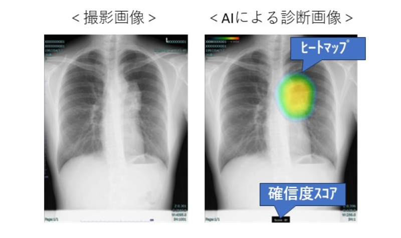 先方提供