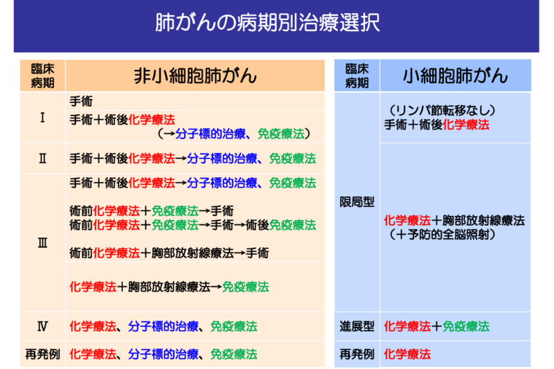 先方提供