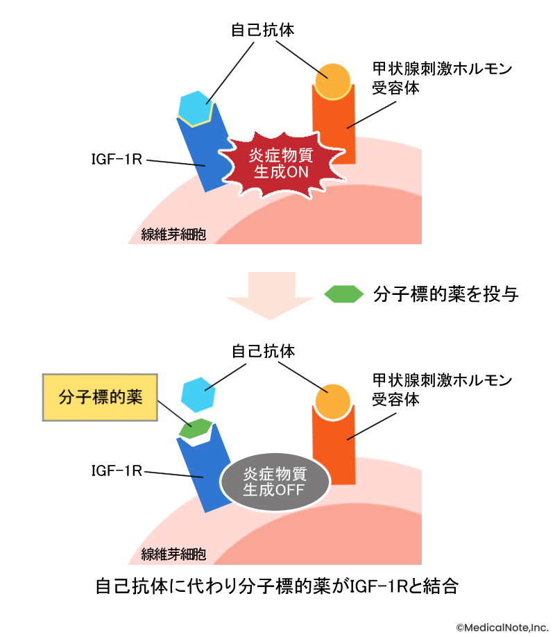 メディカルノート