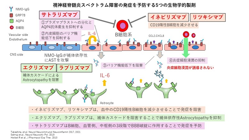  先方提供