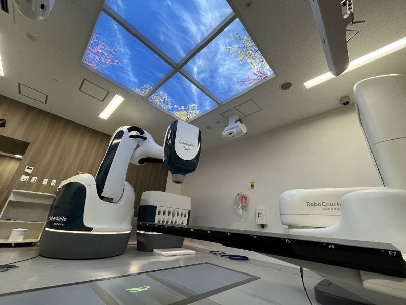 サイバーナイフ