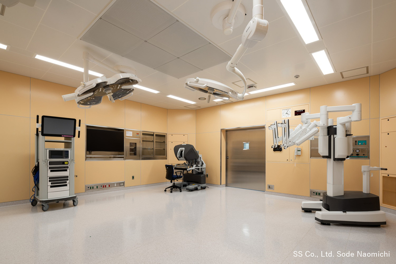 ダビンチ（提供）