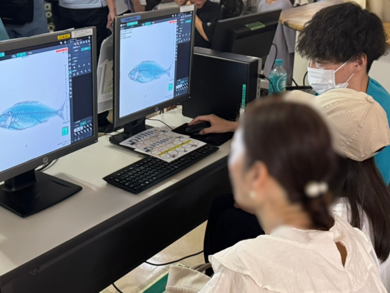 わくわくマルシェ