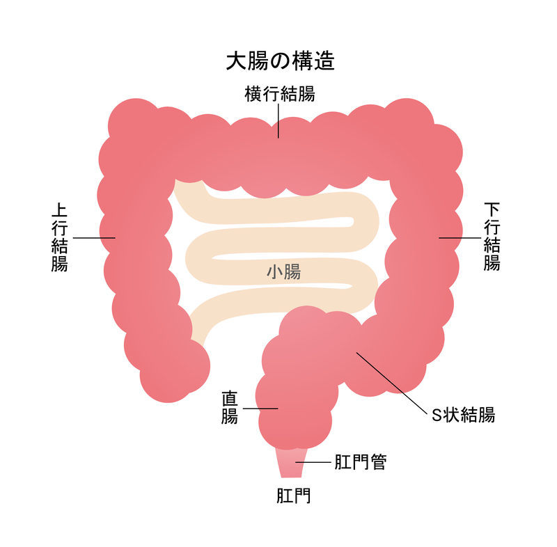 イラスト：PIXTA／加工：メディカルノート