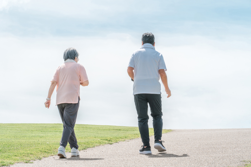 写真：PIXTA