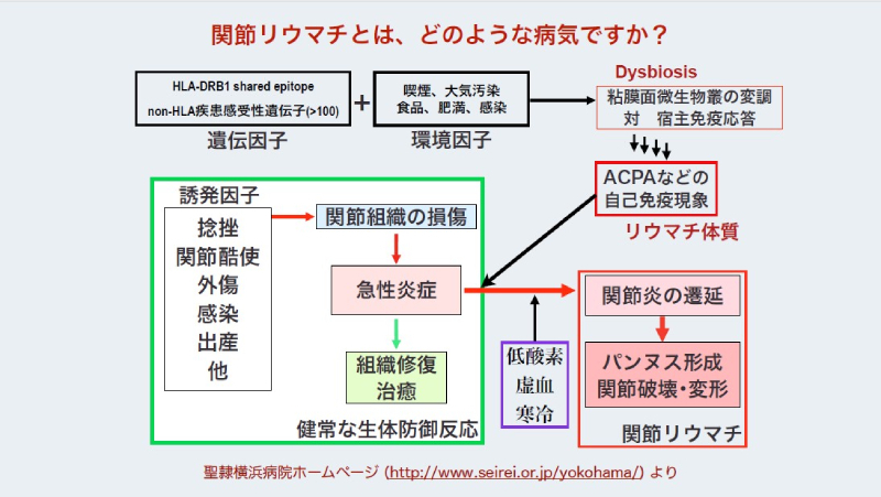 提供：山田秀裕先生