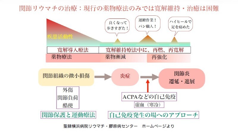 提供：山田秀裕先生