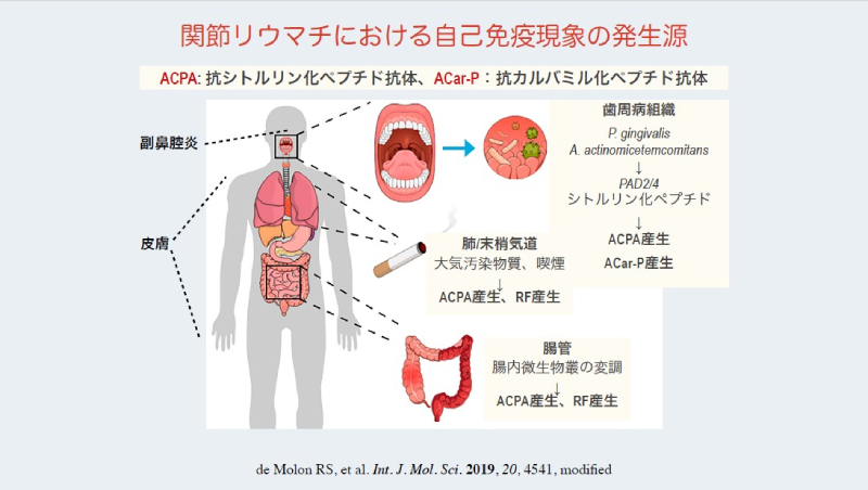 提供：山田秀裕先生