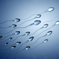 造精機能障害とはどんな病気？もっとも多い男性不妊の原因