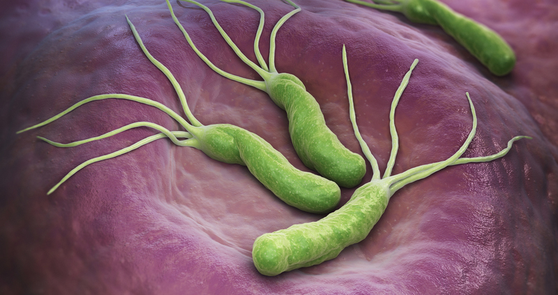 ピロリ菌とは―なぜ危険？感染経路は？