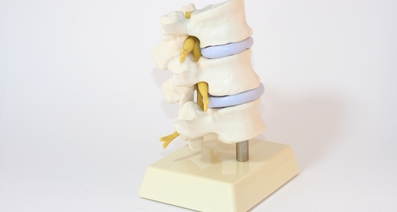 腰椎椎間板ヘルニアの手術 手術の種類と気になる疑問