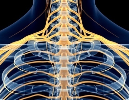 靭帯や腱などの結合組織（Fascia）への治療も効果的。筋膜