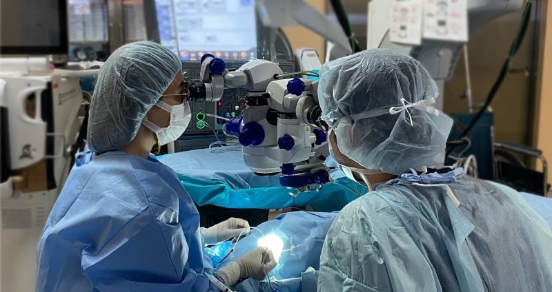 黄斑上膜に対する硝子体手術――市立東大阪医療センターでの取り組み
