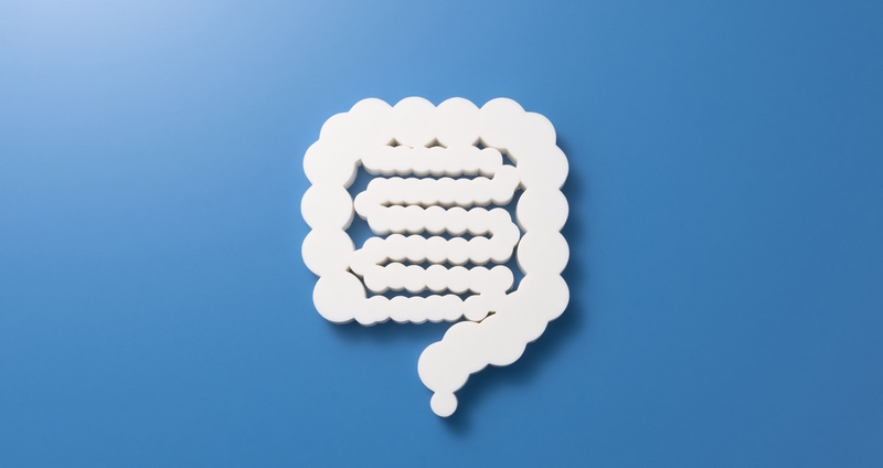 小腸がんとは？：症状や検査、治療法