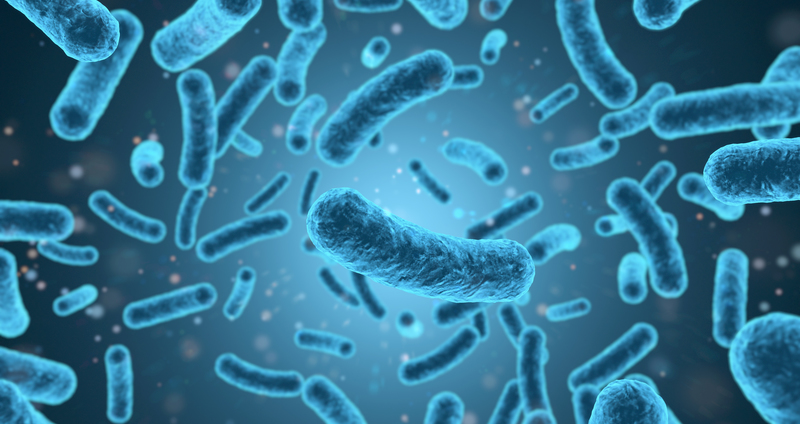 トリコモナス症はどのように治療されますか?