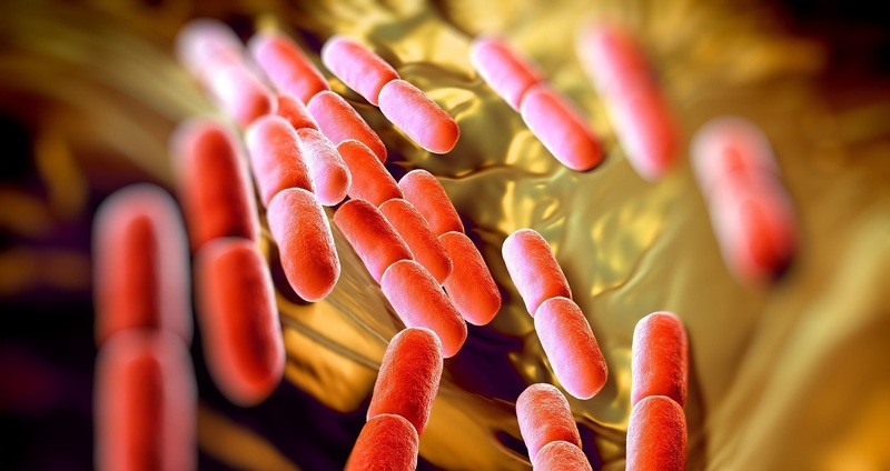 細菌性腟症の原因－ある特定の細菌が原因ではない 