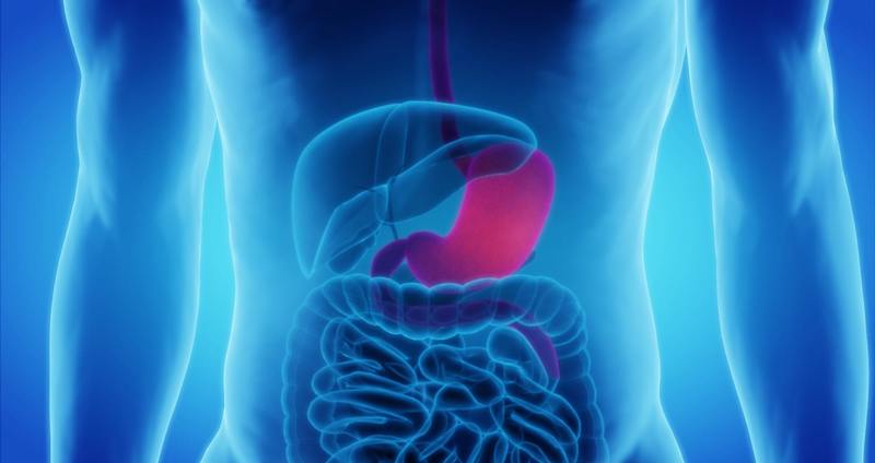 胃潰瘍（胃かいよう）とはどのような病気？胃カメラの写真でみるステージごとの症状