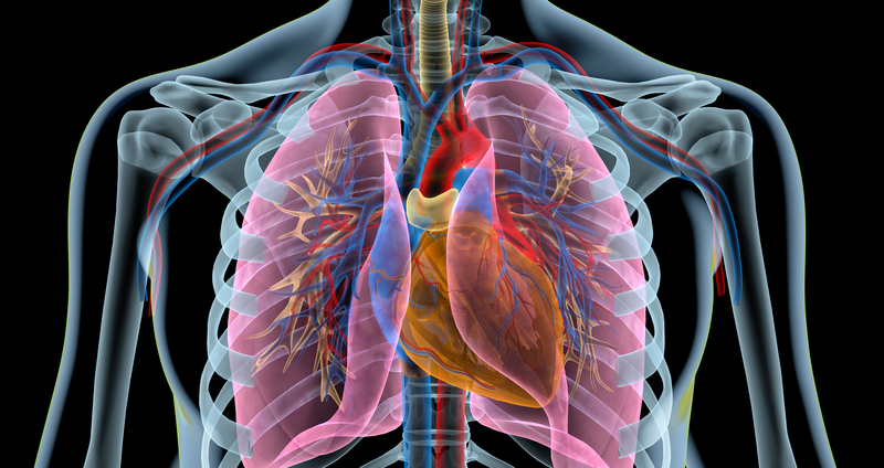 アレルギー性気管支肺アスペルギルス症とは－喘息の症状と肺の陰影